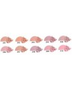 GOLDEN ROSE - Silky touch Blush on