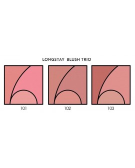 GOLDEN ROSE - Longstay Brush Trio