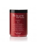 FANOLA BOTUGEN HAIR SYSTEM MASCARILLA BOTOX KERATINA 1000 ML